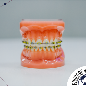 Diplomado Damon Online